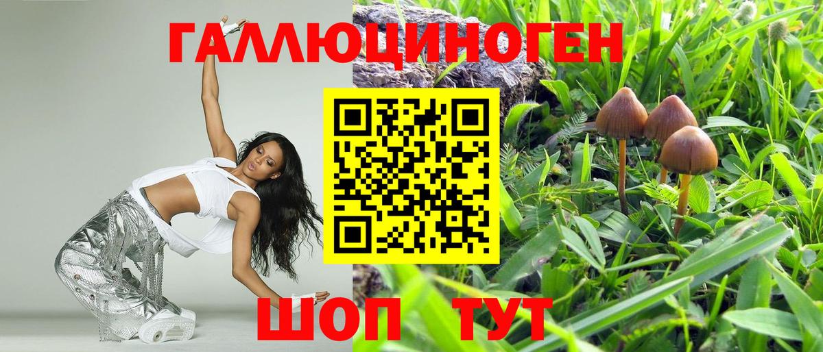 Псилоцибиновые грибы Psilocybine cubensis Жигулёвск